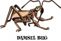 damsel bug.jpg